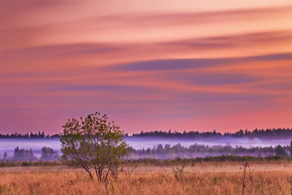 Misty sunset — Stock Photo, Image