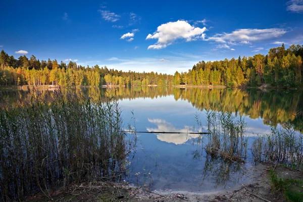 Ηλιόλουστη λίμνη φθινοπωρινό — Φωτογραφία Αρχείου
