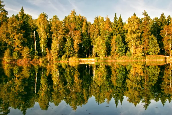 Sunny autumnal lake — Stock Photo, Image