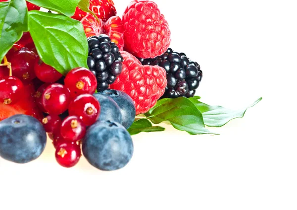 蓝莓、 黑莓、 树莓. — 图库照片
