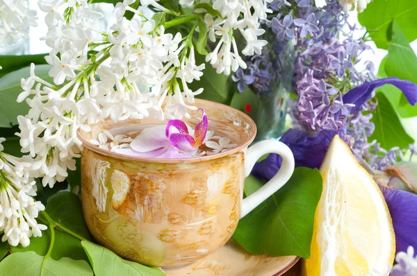 Csésze tea és a tavaszi ág — Stock Fotó