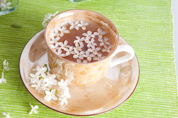 Чашка чаю та весняна гілка — стокове фото
