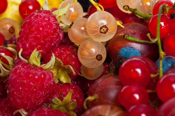 Vegyes bogyós gyümölcsök — Stock Fotó