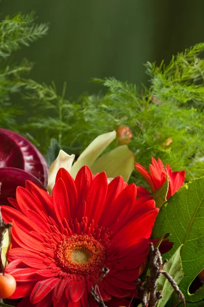 stock image Bouquet of flowers