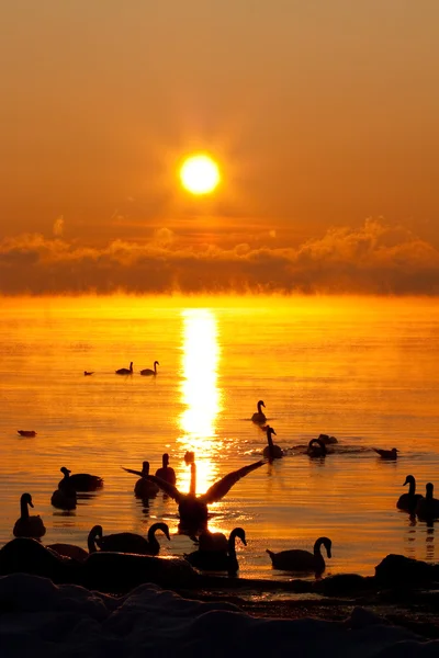 Zonsondergang in de zee — Stockfoto