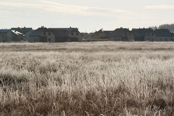 Frost gräs på nära håll — Stockfoto