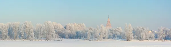 눈 덮인 겨울 — 스톡 사진