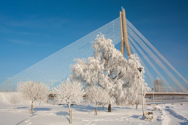 Χιονισμένο χειμώνα με γέφυρα — Φωτογραφία Αρχείου