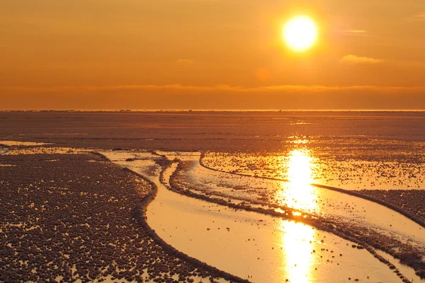 Захід сонця над крижаним морем — стокове фото