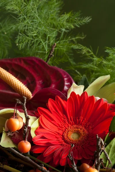 stock image Bouquet of flowers