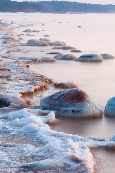 海の石 — ストック写真