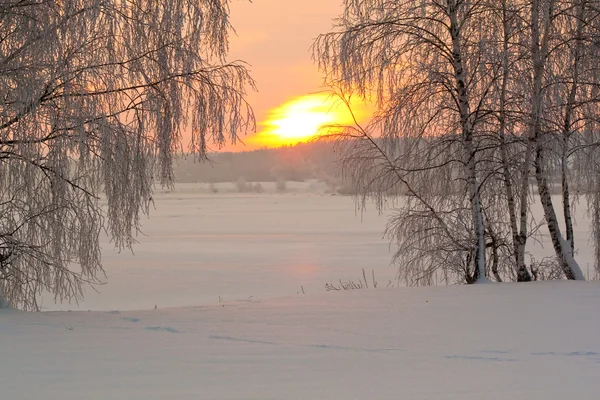 Snowy winter with sunset — Stock Photo, Image