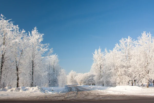 Snörik vinter — Stockfoto