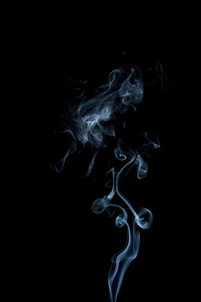 Mooie rook — Stockfoto