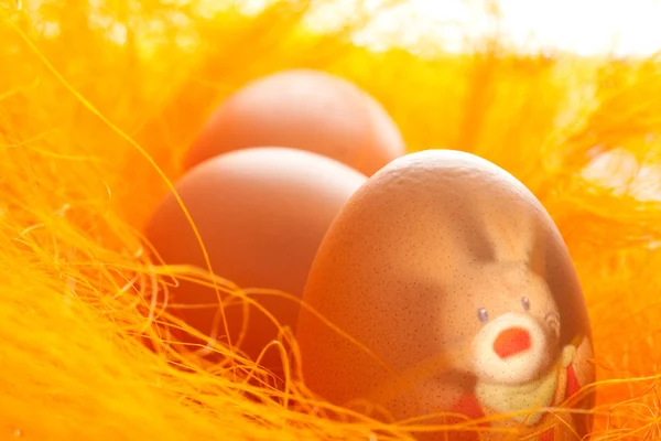 stock image Easter eggs with hare