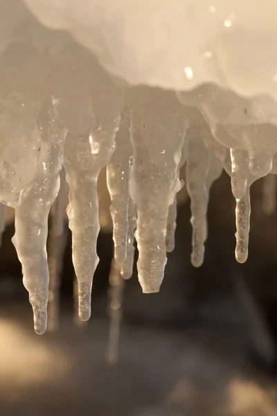 Icicles in winter — Stock Photo, Image