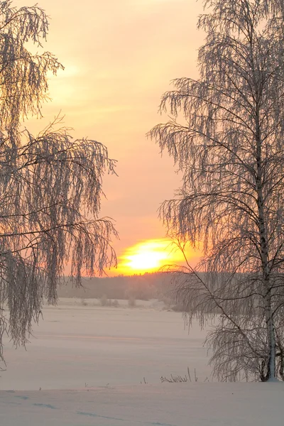 Snowy winter with sunset — Stock Photo, Image