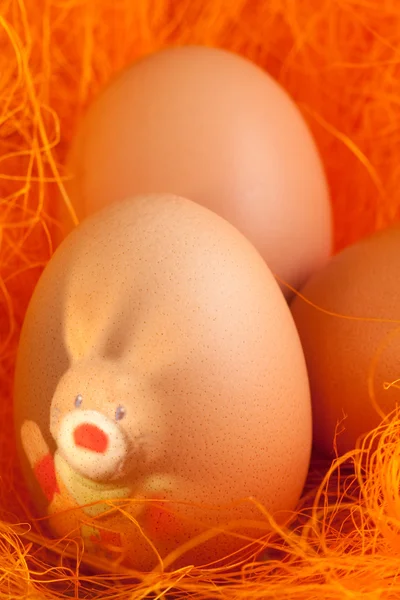 Huevos de Pascua con liebre — Foto de Stock