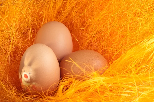 stock image Easter eggs with hare