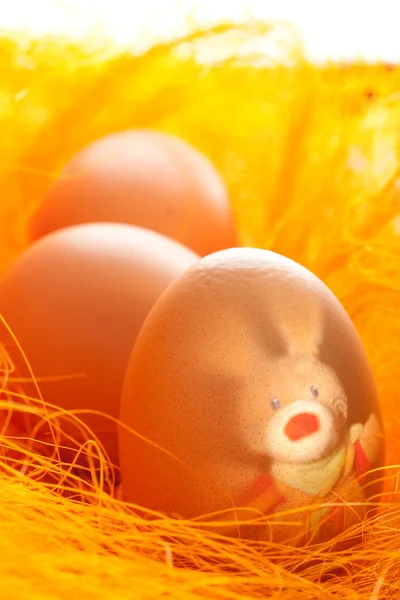 stock image Easter eggs with hare