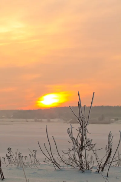 Сніжна зима з заходом сонця — стокове фото