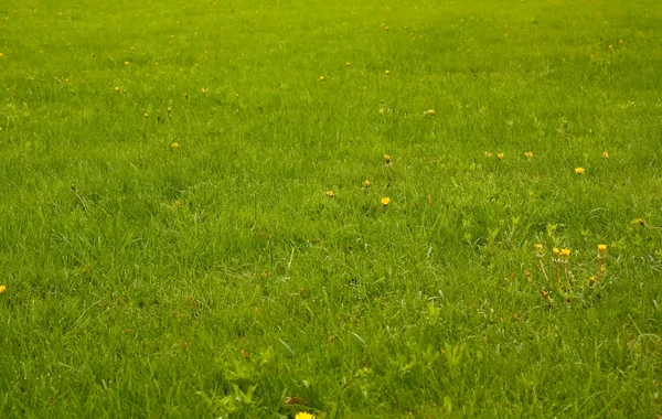 stock image Rural grassland