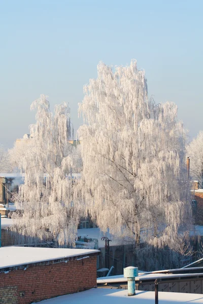 눈 덮인 겨울 도시에 — 스톡 사진
