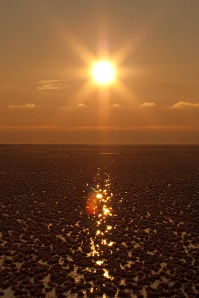 Sunset over icy sea — Stock Photo, Image