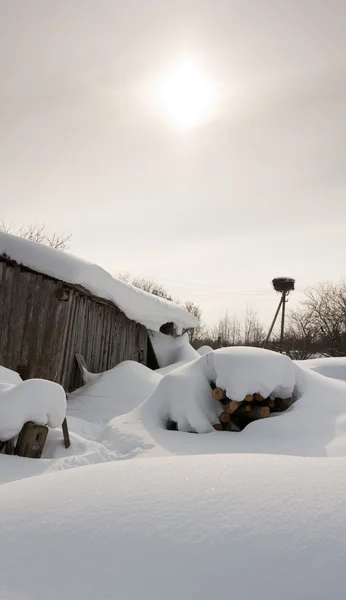 Зимовий вид зі снігоходом — стокове фото