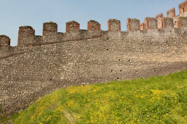 çiçekli Kalesi