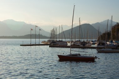 bir sürü gemi direkleri yatlar