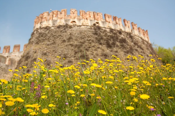 Castle with flowers — Stock Photo, Image