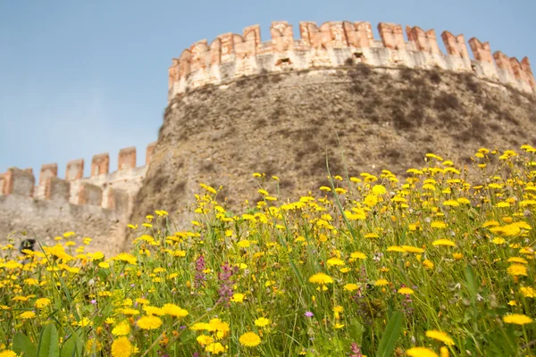 Castle with flowers — Stock Photo, Image
