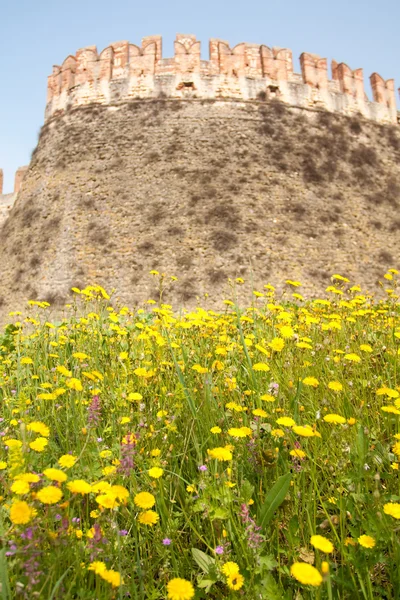 Замок с цветами — стоковое фото