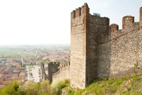 Mur du château — Photo