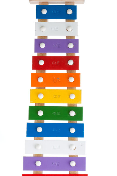 Xylophone in multi colours
