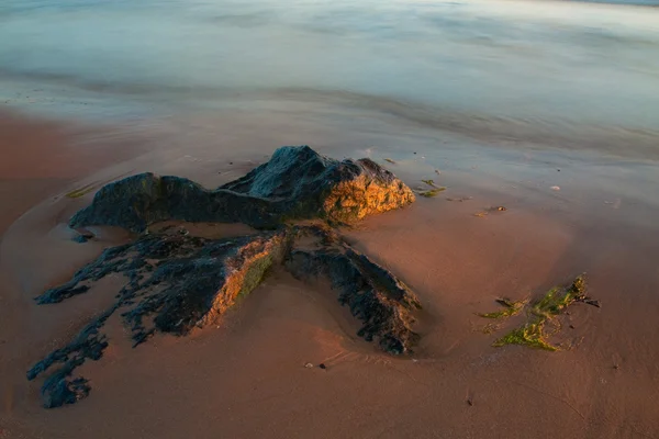 石と海 — ストック写真