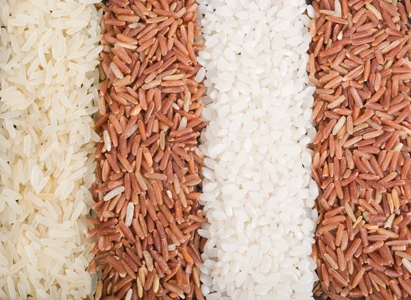 Şeritler farklı pirinç çeşitleri — Stok fotoğraf
