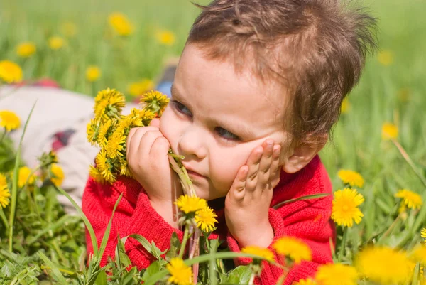 Pensive boy with dandelions — Stock Photo, Image
