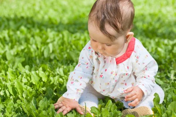 Маленькая девочка сидит на зеленой траве в парке — стоковое фото