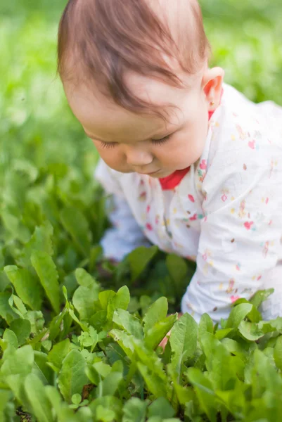 Een klein meisje, zittend op groen gras in het park — Stockfoto