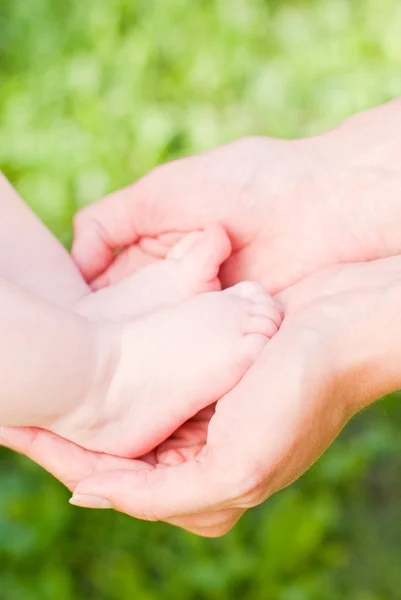 stock image Portrait of little feet in adult hands, close-up