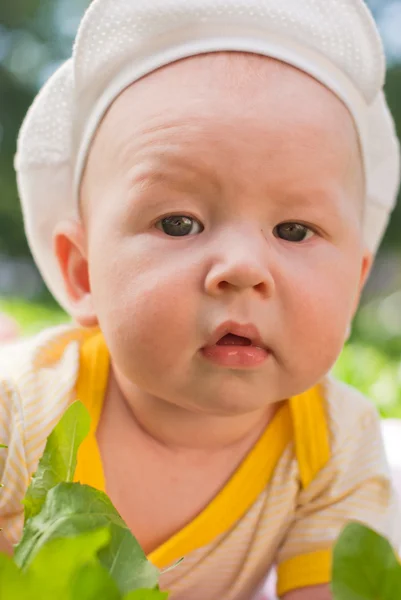 Portrait of a baby lying on the grass, close-up — Stock Photo, Image