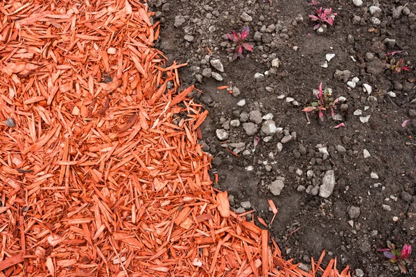 Dirt and mulch — Stock Photo, Image