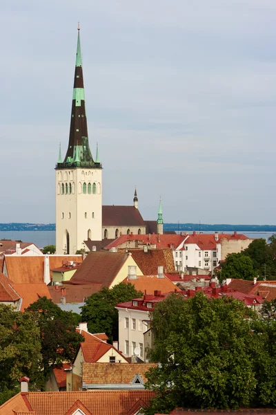 Tallinn. Estónia — Fotografia de Stock