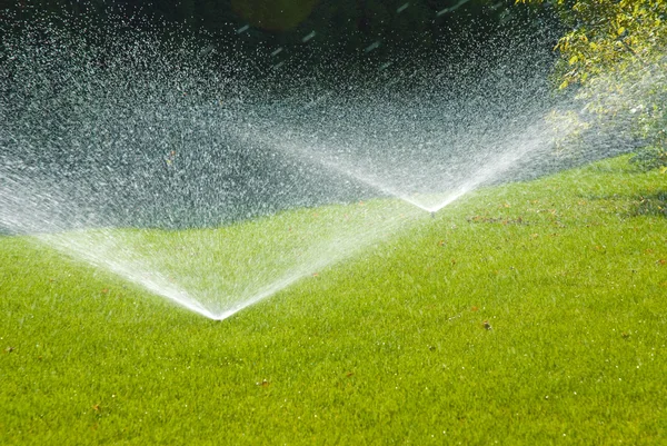 庭で自動散水のスプリンクラー — ストック写真