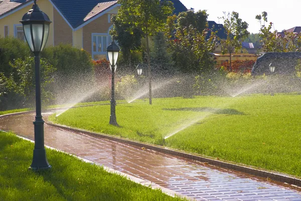 Sprinkler für automatische Bewässerung im Garten — Stockfoto