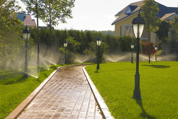 喷淋器的自动浇水在花园里 — 图库照片