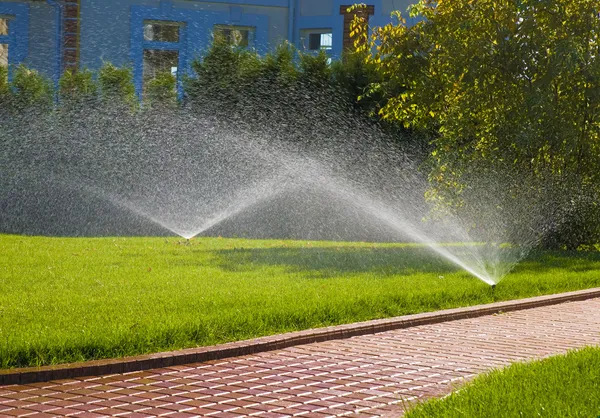 Sprinklerové automatické zavlažování v zahradě Royalty Free Stock Obrázky
