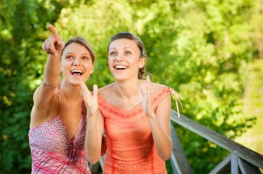 Two laugh teenage girls clipart